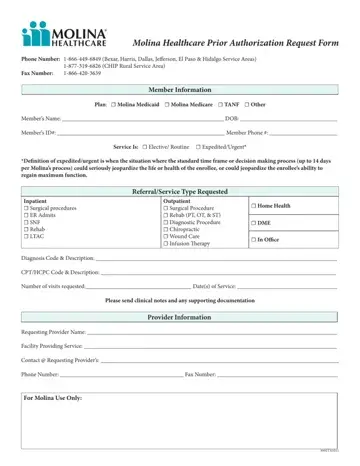 Molina Prior Authorization Form Preview