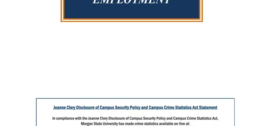 step 2 to entering details in mium morgan state university employment application