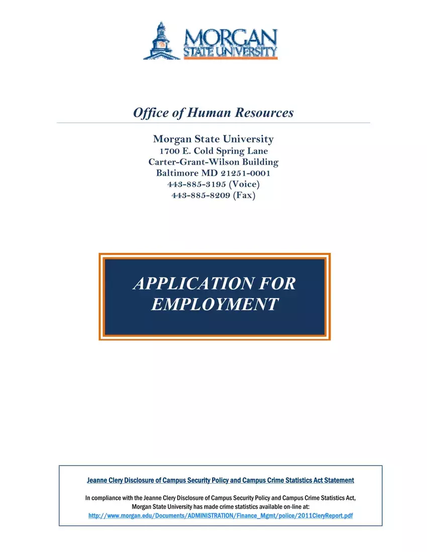 Morgan Employment Application first page preview