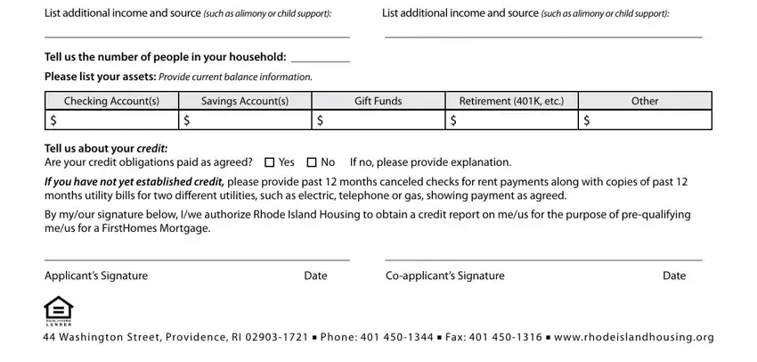 worksheet List additional income and source, List additional income and source, Tell us the number of people in, Please list your assets Provide, Checking Accounts, Savings Accounts, Gift Funds, Retirement K etc, Other, Tell us about your credit Are your, Yes, No If no please provide explanation, If you have not yet established, By myour signature below Iwe, and Applicants Signature blanks to complete