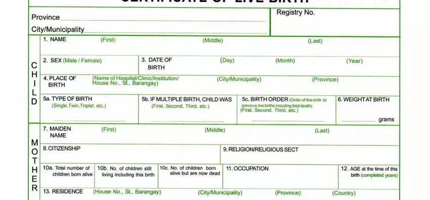 birth certificate sample gaps to fill in