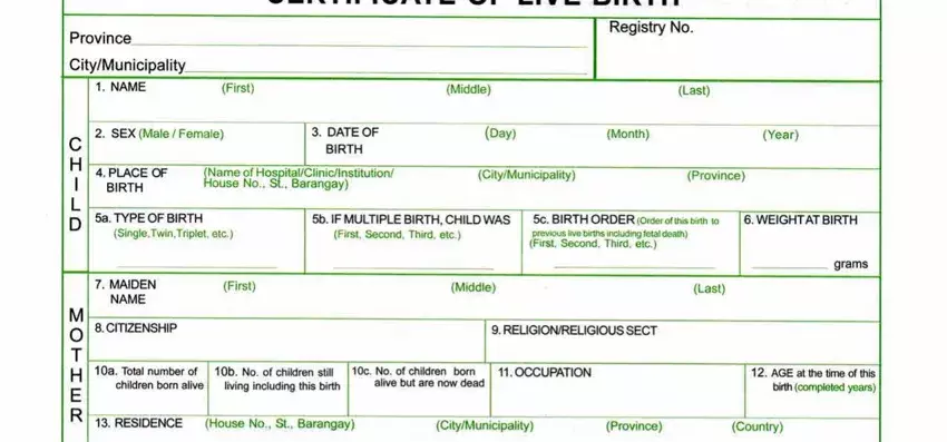 Municipal Form 102 ≡ Fill Out Printable Pdf Forms Online 