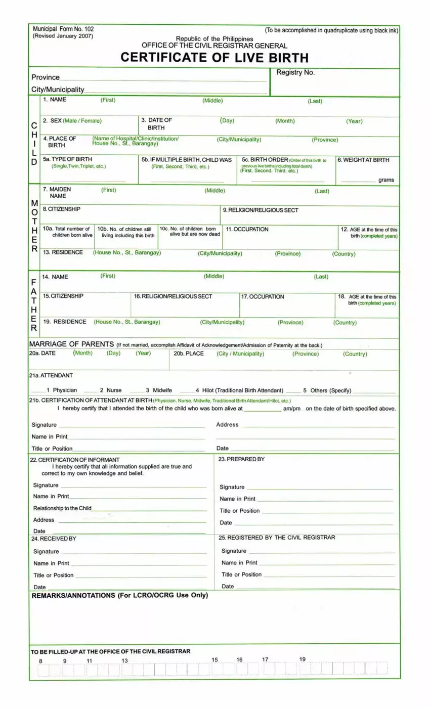 Municipal Form 102 first page preview