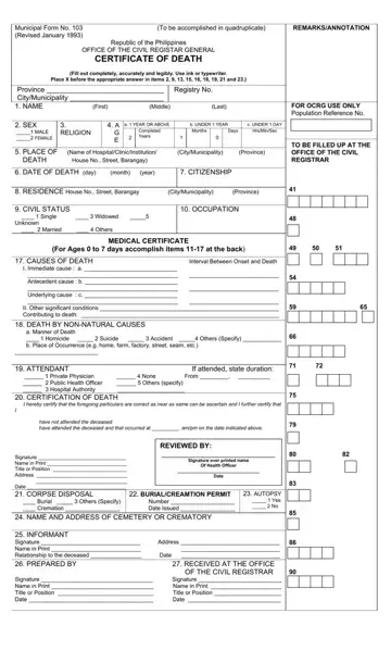 Municipal Form No 103 Preview