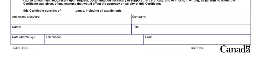 b232 form Authorizedsignature, Name, Company, Title, Dateddmmyy, Telephone, FAX, and BSFE fields to fill