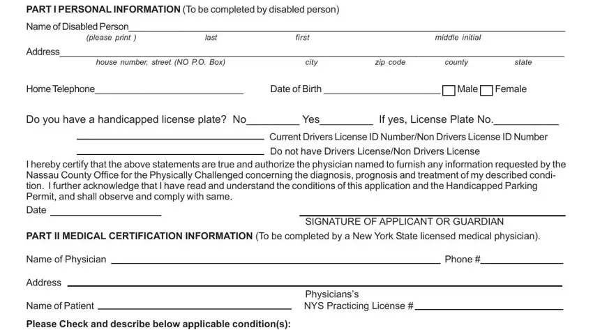 portion of blanks in form for handicap parking