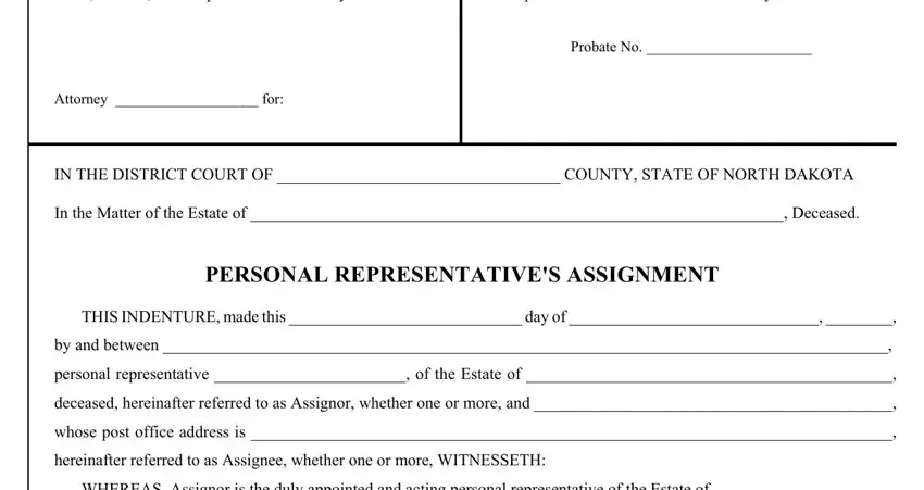 appointment of personal representative form blanks to complete