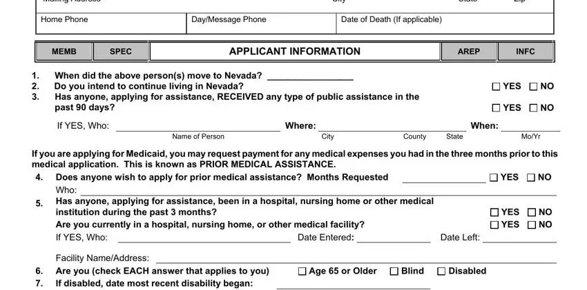 Completing medicaid form nevada stage 2