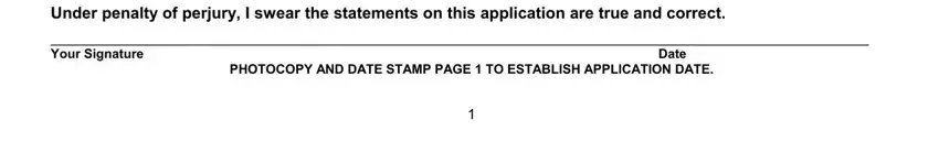 medicaid form nevada Under penalty of perjury I swear, Your Signature, Date, and PHOTOCOPY AND DATE STAMP PAGE  TO blanks to fill out