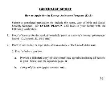 Nevada Energy Assistance Form Preview
