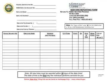 New Hampshire Reporting Form Preview