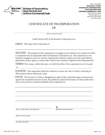 New York Form Certificate Preview