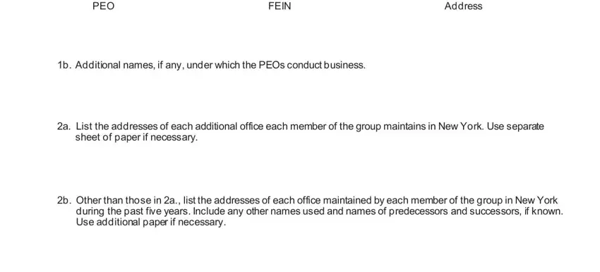 New York Form Ls 665 PEO, FEIN, Address, b Additional names if any under, a List the addresses of each, sheet of paper if necessary, b Other than those in a list the, and during the past five years Include fields to complete
