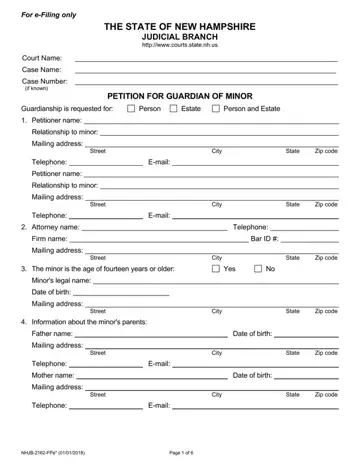 Nh Petition Guardianship Form Preview