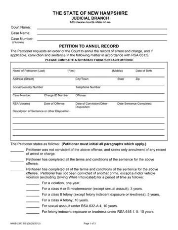 Nhjb 2317 Ds Form Preview