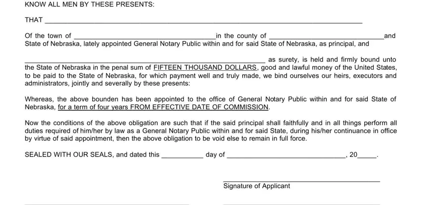 surety empty spaces to fill out