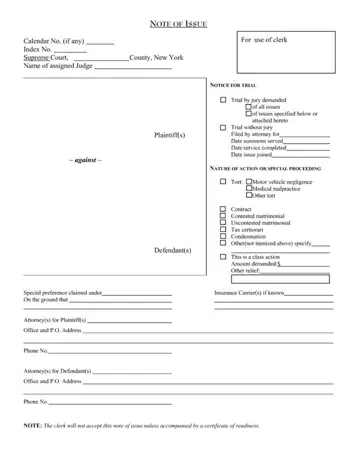 Note Issue Fillable Form Preview