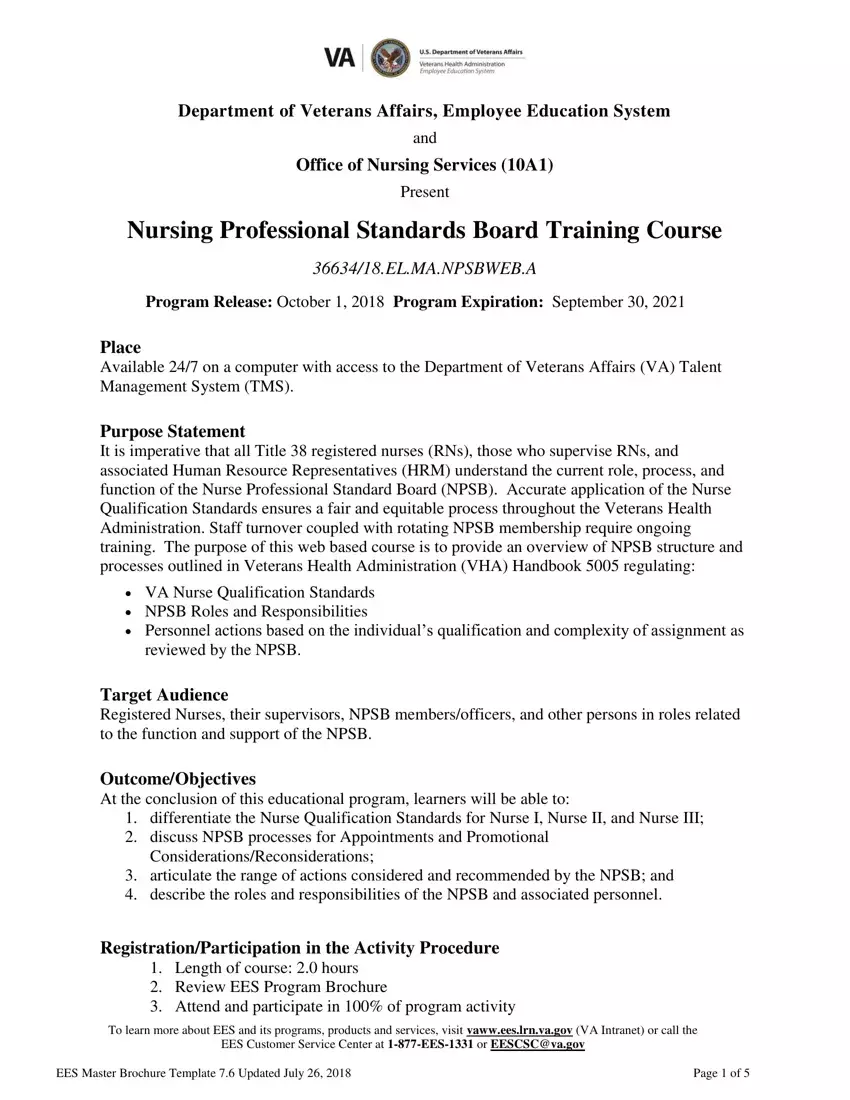 Nurse Professional Standards Board first page preview