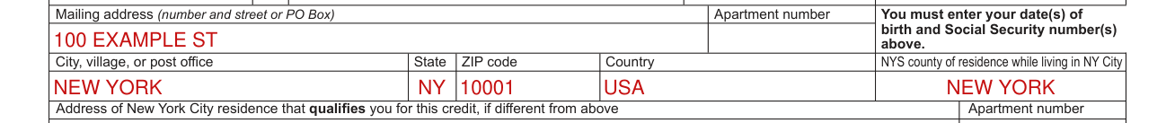 Form NYC-210 example filled out, mailing address and NYS county of residence