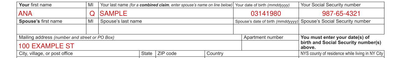 Form NYC-210 example filled out, your name, date of birth and Social Security number
