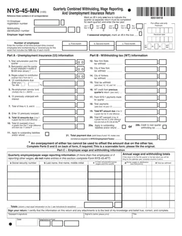Nys 45 Mn Form Preview