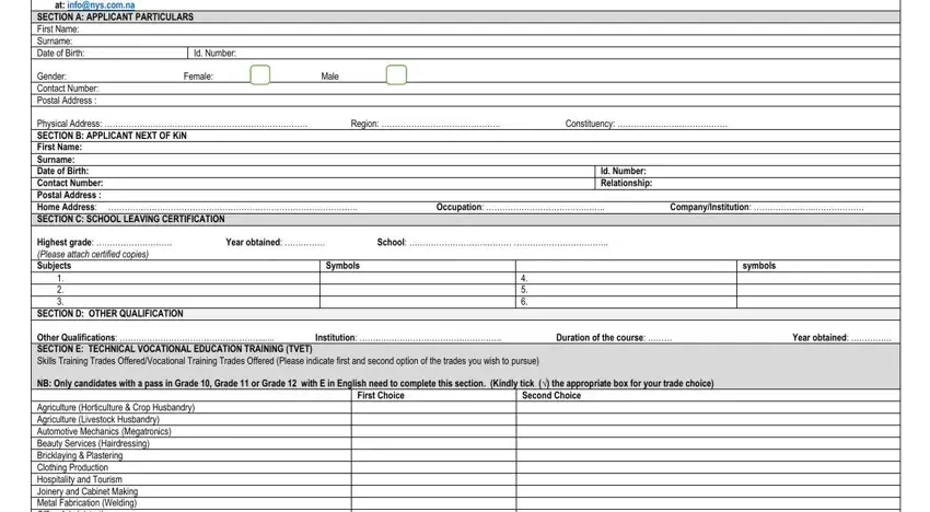  nys application form 2020 pdf empty spaces to fill out
