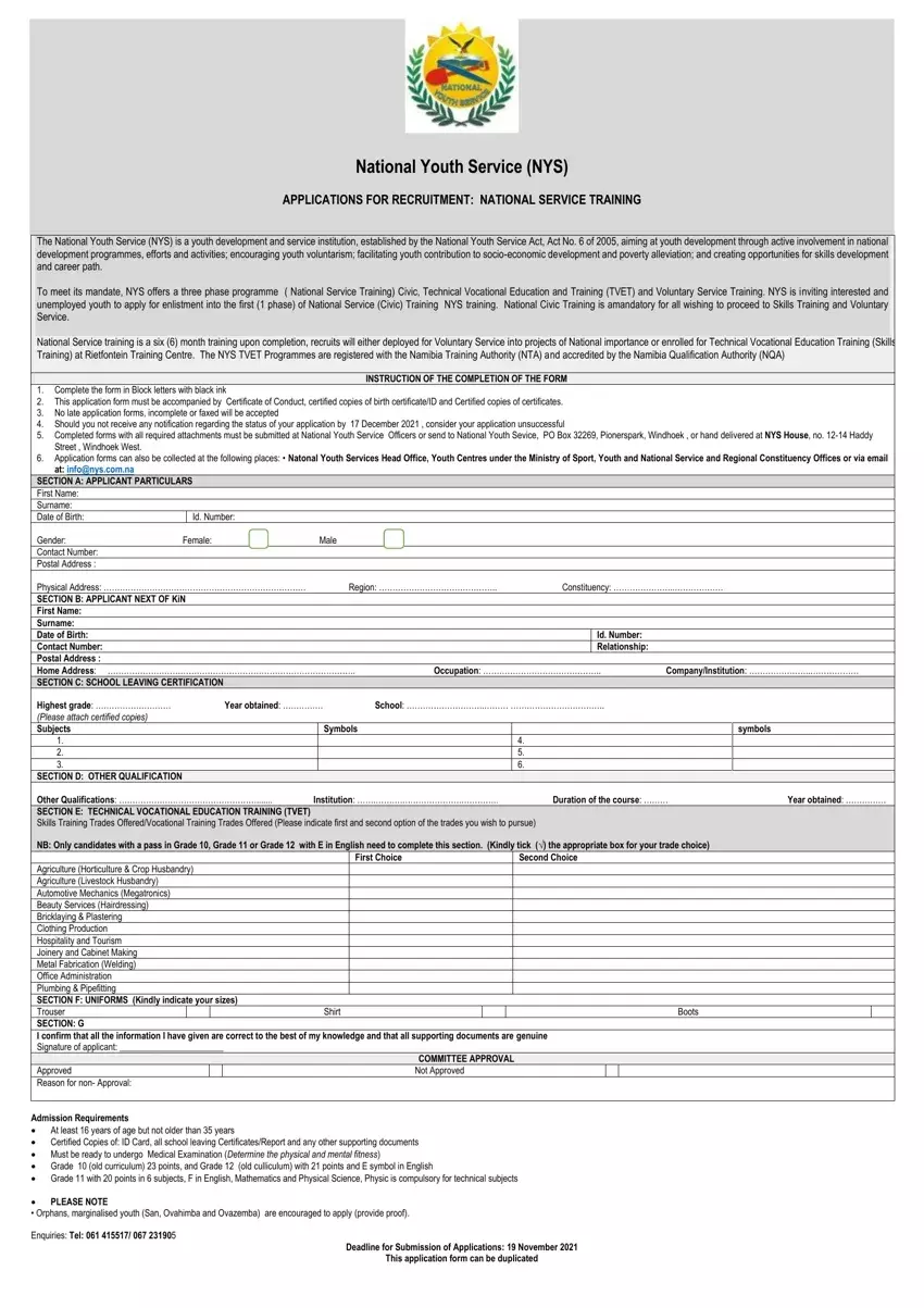 Nys Application first page preview
