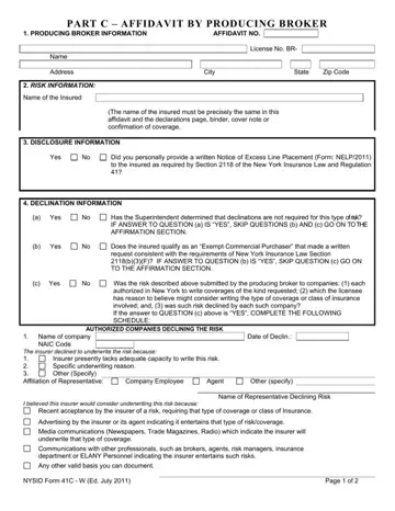 NYSID Form 41C-W Preview