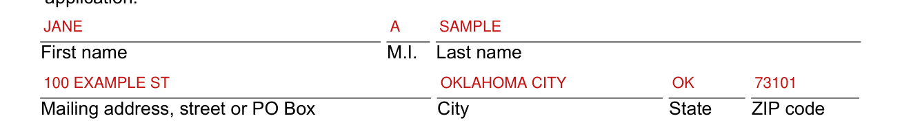 Form 08MP001E example filled out, incomplete Application: your name and mailing address