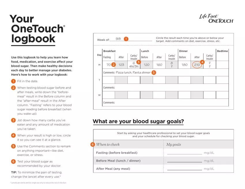 Onetouch Logbook Sheet first page preview