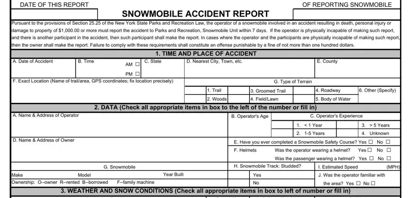 civilian accident report nyc empty fields to fill in