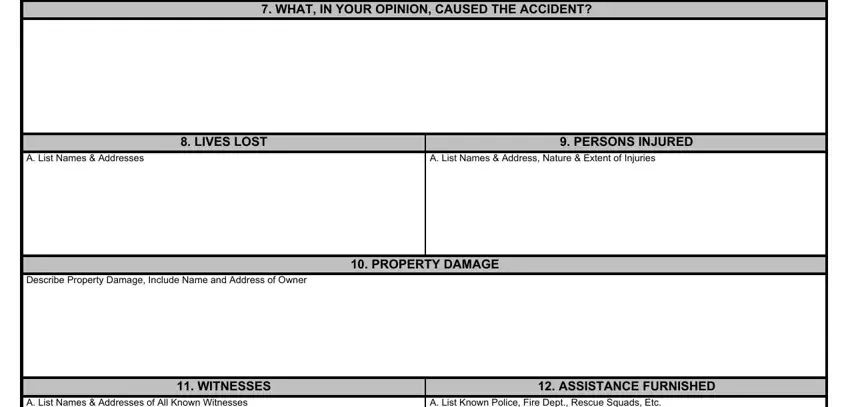 civilian accident report nyc WHAT IN YOUR OPINION CAUSED THE, A List Names  Addresses, A List Names  Address Nature, LIVES LOST, PERSONS INJURED, Describe Property Damage Include, PROPERTY DAMAGE, A List Names  Addresses of All, A List Known Police Fire Dept, WITNESSES, and ASSISTANCE FURNISHED blanks to insert