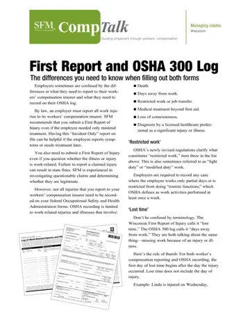 Osha 300 Log Form Preview