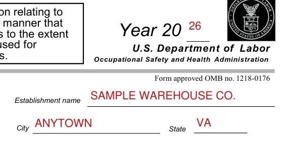 OSHA Form 300 example filled out, year, establishment name, city and state
