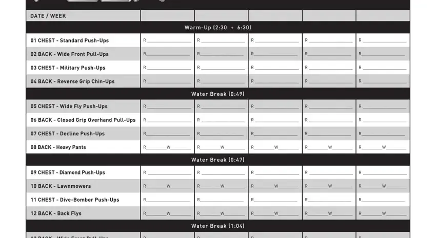 entering details in p90x chest back worksheet step 1