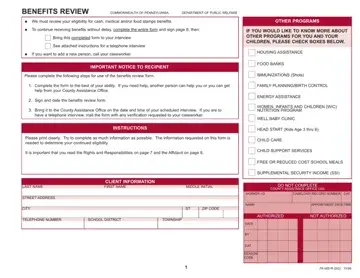 Pa 600R Form Preview