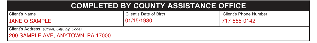 Form PA 635 example filled out, completed by county assistance office: the client's boxes