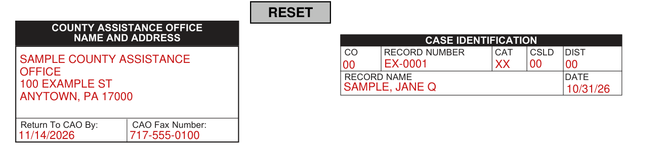 Form PA 635 example filled out, county assistance office and case identification