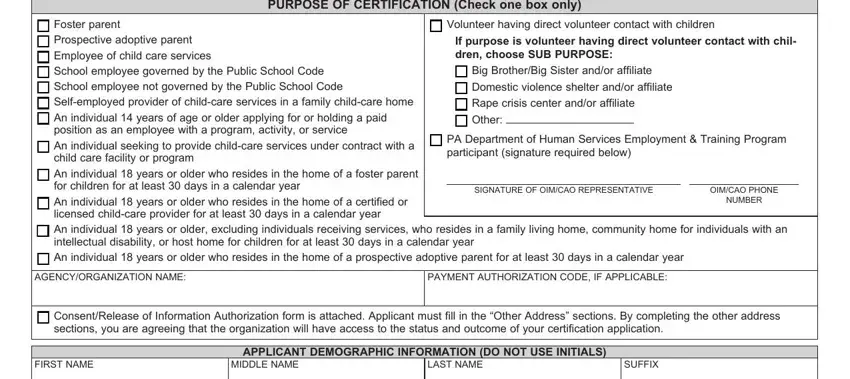 example of blanks in pa child abuse check