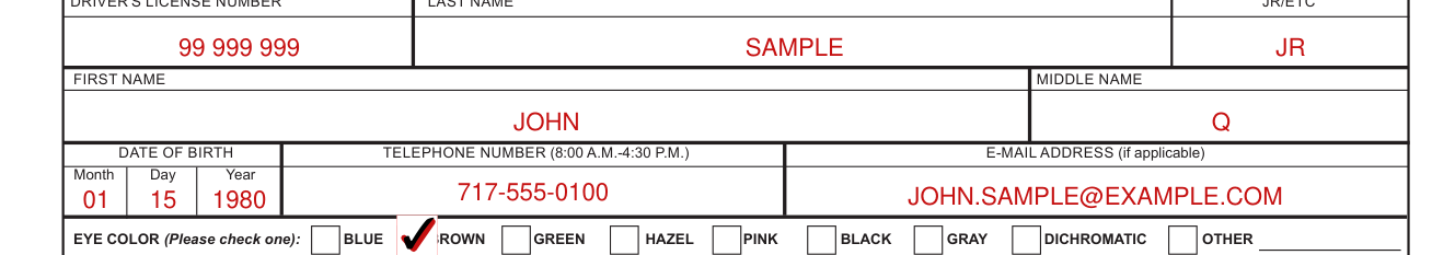 Form DL-3731 example filled out, applicant information