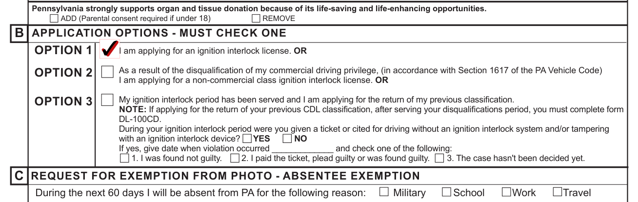 Form DL-3731 example filled out, application options
