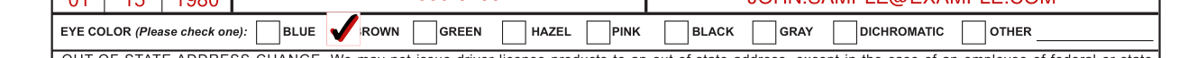 Form DL-3731 example filled out, eye color
