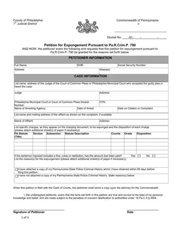 Pa Expungement Form Preview