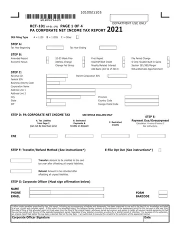 Pa Rct 101 Form Preview