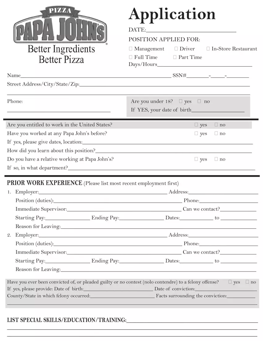 Papa Johns Pizza Job Application first page preview