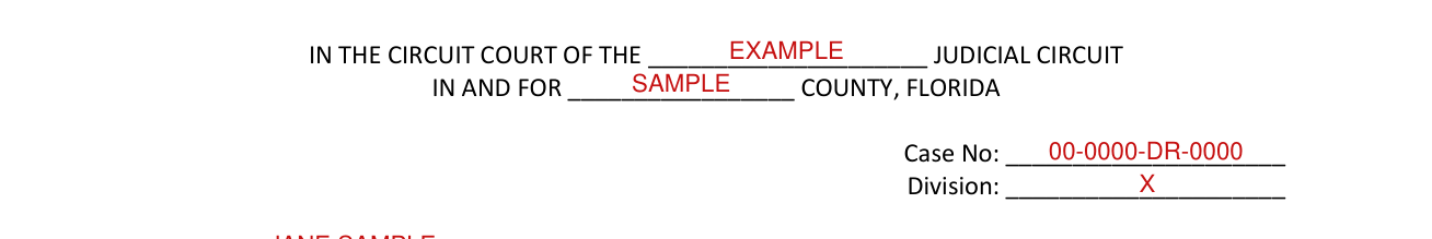 Form 12.995(a) example filled out, court and case