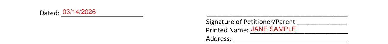 Form 12.995(a) example filled out, signature of Petitioner/Parent