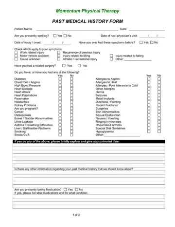 Past Medical History Form Preview