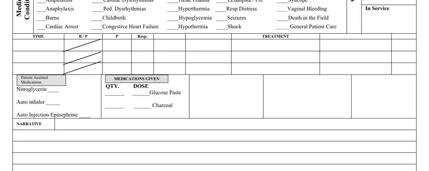 Patient Care Report Examples Form Fill Out And Sign P 5787