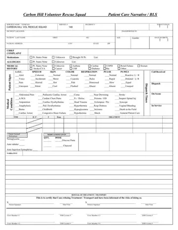 Patient Care Report Form Preview